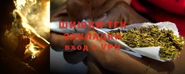 сатива Богородск