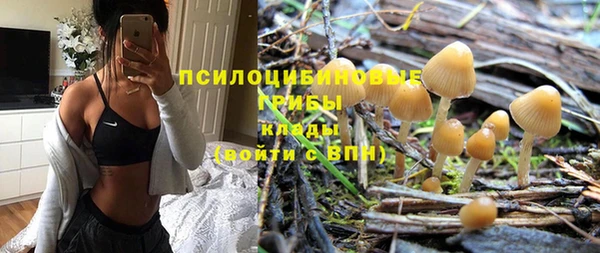 COCAINE Богданович