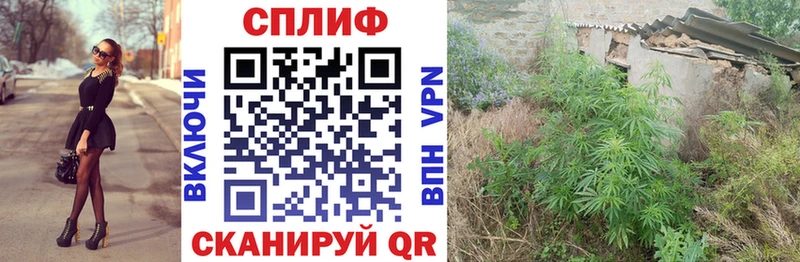 Марихуана SATIVA & INDICA  купить закладку  Наро-Фоминск 